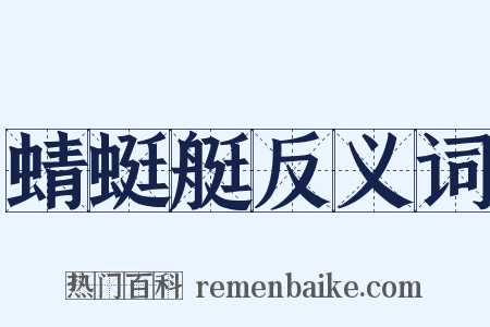 蜻蜓艇反义词是什么意思的图片